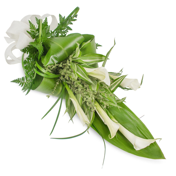 A sophisticated, hand-tied cascade of white and green, photographed against a pure white backdrop that highlights its crisp shapes and serene colours. The visual anchor is a cluster of creamy Calla Lilies with smooth, trumpet-shaped blooms that arc gracefully down toward the right side, their stems implied beneath a rich composition of greenery. Large, deep-green glossy leaves-tropical in character-are folded and layered to create a structural base; one prominent leaf forms a strong lower-right support while another is curled at the upper left, giving the bouquet volume and a gentle wrap. Interspersed among these are long, striped variegated leaves that lend lively contrast, and soft fern fronds that peek out to add an airy, textural softness. Fine, pale-green herbaceous sprigs, almost like froth, nestle in the middle spaces, while a few slender, grass-like blades extend in graceful arcs to emphasize the piece's linear movement. The top-left is finished with a substantial, off-white ribbon tied from a woven fabric, possibly linen, introducing a tactile, elegant accent. The studio lighting reveals subtle shadows and sheen-waxy lily surfaces, glossy leaf highlights, and the matte, natural weave of the bow-inviting both sight and touch. Ideal as a bridal accent, an understated anniversary tribute, or a dignified memorial, this arrangement carries a minimalist, contemporary sensibility that resonates with local tastes around Harlesden High Street and the quieter lanes toward Stonebridge, reflecting careful craftsmanship and considered restraint.