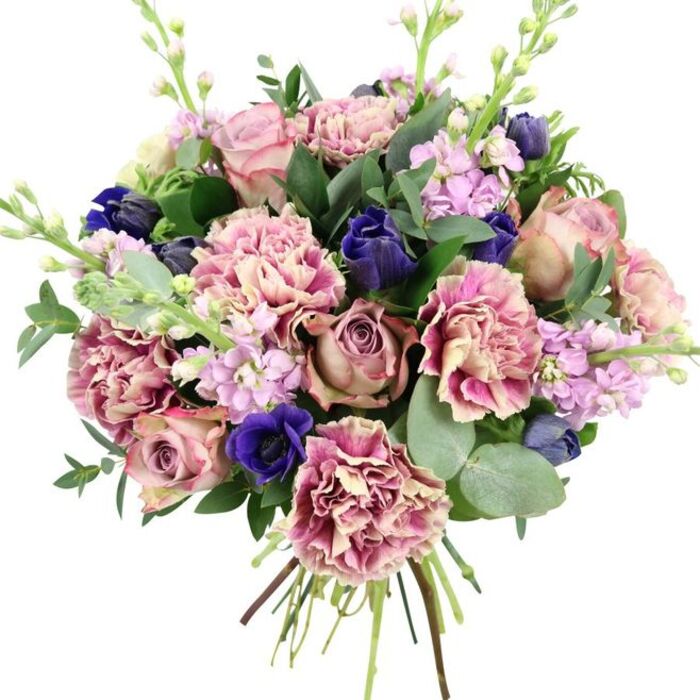 In this photograph, a hand-tied bouquet is shown against a simple white background, allowing every colour and texture to stand out with clarity, as if you were viewing it up close in a Harlesden studio. The main focus is a cluster of large garden roses, their petals unfolding in generous spirals of blush pink, dusky rose, and muted mauve, creating a soft, romantic heart to the arrangement. Nestled among them are abundant ruffled carnations, each bloom full and layered, with centres in creamy beige and pale blush that slowly deepen to rosy, plum-pink edges, giving a rich, almost fabric-like frill to the design. Threaded throughout are dramatic accents of royal blue and deep indigo: some appear as slender, tulip-shaped buds, while others open into velvety anemones with striking dark, almost black centres that provide depth and contrast. Rising slightly above the rounded forms are stems of pale lavender and lilac stock, covered in small, closely spaced blossoms that create a light, cloudlike texture and a sense of vertical lift. Encircling the flowers is a plentiful mix of foliage-broad, glossy dark green leaves intertwined with rounded, silvery eucalyptus discs that arc outward and frame the bouquet with cool, calming greens and a faintly herbal scent. The stems are neatly gathered and visible at the base, suggesting a freshly crafted piece, ready for local flower delivery across Harlesden, from the streets around Harlesden Station to homes near Roundwood Park. The overall composition feels both elegant and approachable, an ideal choice for weddings, anniversaries, or spring celebrations where you want to convey romance, appreciation, and quiet joy.
