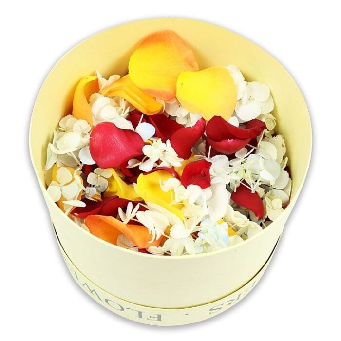 Captured from directly above, this photograph shows a minimalist yet luxurious arrangement of dried flower petals presented in a round, cream-coloured hatbox, styled for a refined funeral tribute in Harlesden. The cylindrical box, crafted from sturdy paperboard in a soft, pale yellow-cream tone, is marked only by a discreetly embossed word FLOWERS circling the side, giving a quiet nod to its purpose. It sits on a seamless white background, without any visible shadows or distractions, so the viewer's focus rests entirely on the botanicals carefully gathered inside. The interior is filled to overflowing with a dense, slightly domed layer of rose petals in three main tones: a deep, velvety crimson red suggesting depth of feeling; a bright, cheerful golden yellow that adds light; and a soft peach-orange that bridges the two. Interlaced among these petals are countless tiny white florets reminiscent of dried hydrangea, their papery, four-petalled faces catching the soft light and appearing almost weightless. Some florets carry a hint of very pale blue, lending a cool note to the warm palette. The arrangement feels thoughtfully curated yet natural, as if a handful of petals were gently poured into the box until it reached this generous fullness. With its clean presentation and tender mix of colours, the design could serve as elegant petal confetti for a farewell service, a decorative tribute on a memory table at a Harlesden wake, or a comforting keepsake for the family to take home after the ceremony, offering a lasting reminder of shared moments and gentle goodbyes.